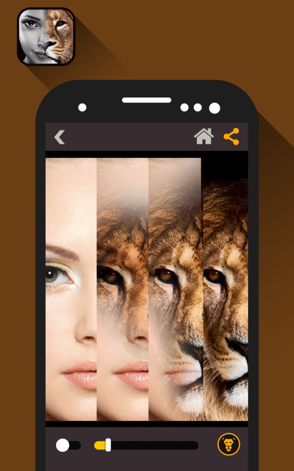 fotomix animal face morphing