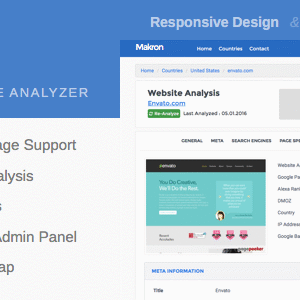 makron smart website analyzer