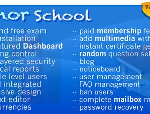 minor school mcq