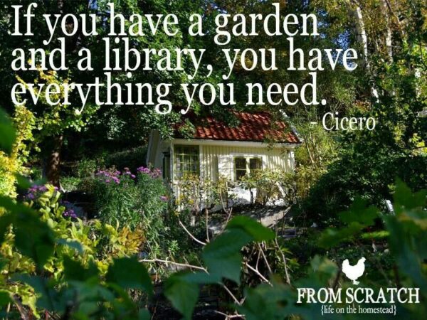the quotes garden v31